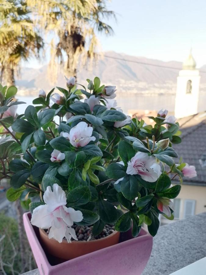 Albergo Ristorante Al Portico Gerra  Bagian luar foto